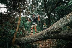 BIB: 
                            <button type="button" onclick="openModal(25550855)" class="btn btn-primary btn-sm float-right btn-popup" data-toggle="modal" data-target=".modal-high-quality">
                        <i class="fas fa-shopping-cart"></i> Add to Cart
                    </button>
                                            <button type="button" onclick="isThisMe(25550855, true)" class="btn btn-success btn-sm float-right btn-popup btn-isme hidden" data-toggle="tooltip" data-placement="bottom" title="นี่คือรูปของคุณใช่ไหม คลิกที่นี่เพื่อเอาเข้าอัลบั้ม">
                        <i class="fas fa-plus"></i> Add to album
                    </button>
                    <button type="button" onclick="isThisMe(25550855, false)" class="btn btn-warning btn-sm float-right btn-popup btn-isnotme hidden">
                        <i class="fas fa-ban"></i> Remove from album
                    </button>