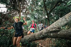 BIB: 
                            <button type="button" onclick="openModal(25538761)" class="btn btn-primary btn-sm float-right btn-popup" data-toggle="modal" data-target=".modal-high-quality">
                        <i class="fas fa-shopping-cart"></i> Add to Cart
                    </button>
                                            <button type="button" onclick="isThisMe(25538761, true)" class="btn btn-success btn-sm float-right btn-popup btn-isme hidden" data-toggle="tooltip" data-placement="bottom" title="นี่คือรูปของคุณใช่ไหม คลิกที่นี่เพื่อเอาเข้าอัลบั้ม">
                        <i class="fas fa-plus"></i> Add to album
                    </button>
                    <button type="button" onclick="isThisMe(25538761, false)" class="btn btn-warning btn-sm float-right btn-popup btn-isnotme hidden">
                        <i class="fas fa-ban"></i> Remove from album
                    </button>