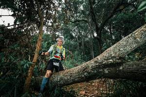 BIB: 
                            <button type="button" onclick="openModal(25550891)" class="btn btn-primary btn-sm float-right btn-popup" data-toggle="modal" data-target=".modal-high-quality">
                        <i class="fas fa-shopping-cart"></i> Add to Cart
                    </button>
                                            <button type="button" onclick="isThisMe(25550891, true)" class="btn btn-success btn-sm float-right btn-popup btn-isme hidden" data-toggle="tooltip" data-placement="bottom" title="นี่คือรูปของคุณใช่ไหม คลิกที่นี่เพื่อเอาเข้าอัลบั้ม">
                        <i class="fas fa-plus"></i> Add to album
                    </button>
                    <button type="button" onclick="isThisMe(25550891, false)" class="btn btn-warning btn-sm float-right btn-popup btn-isnotme hidden">
                        <i class="fas fa-ban"></i> Remove from album
                    </button>