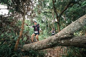 BIB: 
                            <button type="button" onclick="openModal(25554444)" class="btn btn-primary btn-sm float-right btn-popup" data-toggle="modal" data-target=".modal-high-quality">
                        <i class="fas fa-shopping-cart"></i> Add to Cart
                    </button>
                                            <button type="button" onclick="isThisMe(25554444, true)" class="btn btn-success btn-sm float-right btn-popup btn-isme hidden" data-toggle="tooltip" data-placement="bottom" title="นี่คือรูปของคุณใช่ไหม คลิกที่นี่เพื่อเอาเข้าอัลบั้ม">
                        <i class="fas fa-plus"></i> Add to album
                    </button>
                    <button type="button" onclick="isThisMe(25554444, false)" class="btn btn-warning btn-sm float-right btn-popup btn-isnotme hidden">
                        <i class="fas fa-ban"></i> Remove from album
                    </button>