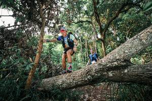 BIB: 
                            <button type="button" onclick="openModal(25527651)" class="btn btn-primary btn-sm float-right btn-popup" data-toggle="modal" data-target=".modal-high-quality">
                        <i class="fas fa-shopping-cart"></i> Add to Cart
                    </button>
                                            <button type="button" onclick="isThisMe(25527651, true)" class="btn btn-success btn-sm float-right btn-popup btn-isme hidden" data-toggle="tooltip" data-placement="bottom" title="นี่คือรูปของคุณใช่ไหม คลิกที่นี่เพื่อเอาเข้าอัลบั้ม">
                        <i class="fas fa-plus"></i> Add to album
                    </button>
                    <button type="button" onclick="isThisMe(25527651, false)" class="btn btn-warning btn-sm float-right btn-popup btn-isnotme hidden">
                        <i class="fas fa-ban"></i> Remove from album
                    </button>