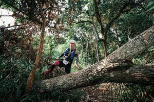 BIB: 
                            <button type="button" onclick="openModal(25534311)" class="btn btn-primary btn-sm float-right btn-popup" data-toggle="modal" data-target=".modal-high-quality">
                        <i class="fas fa-shopping-cart"></i> Add to Cart
                    </button>
                                            <button type="button" onclick="isThisMe(25534311, true)" class="btn btn-success btn-sm float-right btn-popup btn-isme hidden" data-toggle="tooltip" data-placement="bottom" title="นี่คือรูปของคุณใช่ไหม คลิกที่นี่เพื่อเอาเข้าอัลบั้ม">
                        <i class="fas fa-plus"></i> Add to album
                    </button>
                    <button type="button" onclick="isThisMe(25534311, false)" class="btn btn-warning btn-sm float-right btn-popup btn-isnotme hidden">
                        <i class="fas fa-ban"></i> Remove from album
                    </button>