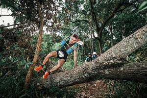 BIB: 
                            <button type="button" onclick="openModal(25536892)" class="btn btn-primary btn-sm float-right btn-popup" data-toggle="modal" data-target=".modal-high-quality">
                        <i class="fas fa-shopping-cart"></i> Add to Cart
                    </button>
                                            <button type="button" onclick="isThisMe(25536892, true)" class="btn btn-success btn-sm float-right btn-popup btn-isme hidden" data-toggle="tooltip" data-placement="bottom" title="นี่คือรูปของคุณใช่ไหม คลิกที่นี่เพื่อเอาเข้าอัลบั้ม">
                        <i class="fas fa-plus"></i> Add to album
                    </button>
                    <button type="button" onclick="isThisMe(25536892, false)" class="btn btn-warning btn-sm float-right btn-popup btn-isnotme hidden">
                        <i class="fas fa-ban"></i> Remove from album
                    </button>