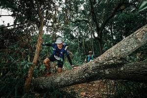 BIB: 
                            <button type="button" onclick="openModal(25550616)" class="btn btn-primary btn-sm float-right btn-popup" data-toggle="modal" data-target=".modal-high-quality">
                        <i class="fas fa-shopping-cart"></i> Add to Cart
                    </button>
                                            <button type="button" onclick="isThisMe(25550616, true)" class="btn btn-success btn-sm float-right btn-popup btn-isme hidden" data-toggle="tooltip" data-placement="bottom" title="นี่คือรูปของคุณใช่ไหม คลิกที่นี่เพื่อเอาเข้าอัลบั้ม">
                        <i class="fas fa-plus"></i> Add to album
                    </button>
                    <button type="button" onclick="isThisMe(25550616, false)" class="btn btn-warning btn-sm float-right btn-popup btn-isnotme hidden">
                        <i class="fas fa-ban"></i> Remove from album
                    </button>