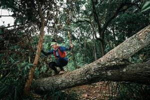 BIB: 
                            <button type="button" onclick="openModal(25551444)" class="btn btn-primary btn-sm float-right btn-popup" data-toggle="modal" data-target=".modal-high-quality">
                        <i class="fas fa-shopping-cart"></i> Add to Cart
                    </button>
                                            <button type="button" onclick="isThisMe(25551444, true)" class="btn btn-success btn-sm float-right btn-popup btn-isme hidden" data-toggle="tooltip" data-placement="bottom" title="นี่คือรูปของคุณใช่ไหม คลิกที่นี่เพื่อเอาเข้าอัลบั้ม">
                        <i class="fas fa-plus"></i> Add to album
                    </button>
                    <button type="button" onclick="isThisMe(25551444, false)" class="btn btn-warning btn-sm float-right btn-popup btn-isnotme hidden">
                        <i class="fas fa-ban"></i> Remove from album
                    </button>