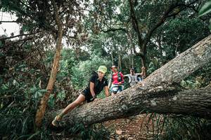 BIB: 
                            <button type="button" onclick="openModal(25538745)" class="btn btn-primary btn-sm float-right btn-popup" data-toggle="modal" data-target=".modal-high-quality">
                        <i class="fas fa-shopping-cart"></i> Add to Cart
                    </button>
                                            <button type="button" onclick="isThisMe(25538745, true)" class="btn btn-success btn-sm float-right btn-popup btn-isme hidden" data-toggle="tooltip" data-placement="bottom" title="นี่คือรูปของคุณใช่ไหม คลิกที่นี่เพื่อเอาเข้าอัลบั้ม">
                        <i class="fas fa-plus"></i> Add to album
                    </button>
                    <button type="button" onclick="isThisMe(25538745, false)" class="btn btn-warning btn-sm float-right btn-popup btn-isnotme hidden">
                        <i class="fas fa-ban"></i> Remove from album
                    </button>