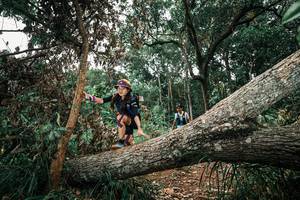 BIB: 
                            <button type="button" onclick="openModal(25546117)" class="btn btn-primary btn-sm float-right btn-popup" data-toggle="modal" data-target=".modal-high-quality">
                        <i class="fas fa-shopping-cart"></i> Add to Cart
                    </button>
                                            <button type="button" onclick="isThisMe(25546117, true)" class="btn btn-success btn-sm float-right btn-popup btn-isme hidden" data-toggle="tooltip" data-placement="bottom" title="นี่คือรูปของคุณใช่ไหม คลิกที่นี่เพื่อเอาเข้าอัลบั้ม">
                        <i class="fas fa-plus"></i> Add to album
                    </button>
                    <button type="button" onclick="isThisMe(25546117, false)" class="btn btn-warning btn-sm float-right btn-popup btn-isnotme hidden">
                        <i class="fas fa-ban"></i> Remove from album
                    </button>