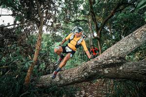 BIB: 
                            <button type="button" onclick="openModal(25526642)" class="btn btn-primary btn-sm float-right btn-popup" data-toggle="modal" data-target=".modal-high-quality">
                        <i class="fas fa-shopping-cart"></i> Add to Cart
                    </button>
                                            <button type="button" onclick="isThisMe(25526642, true)" class="btn btn-success btn-sm float-right btn-popup btn-isme hidden" data-toggle="tooltip" data-placement="bottom" title="นี่คือรูปของคุณใช่ไหม คลิกที่นี่เพื่อเอาเข้าอัลบั้ม">
                        <i class="fas fa-plus"></i> Add to album
                    </button>
                    <button type="button" onclick="isThisMe(25526642, false)" class="btn btn-warning btn-sm float-right btn-popup btn-isnotme hidden">
                        <i class="fas fa-ban"></i> Remove from album
                    </button>