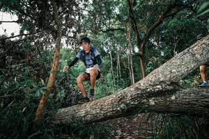 BIB: 
                            <button type="button" onclick="openModal(25526931)" class="btn btn-primary btn-sm float-right btn-popup" data-toggle="modal" data-target=".modal-high-quality">
                        <i class="fas fa-shopping-cart"></i> Add to Cart
                    </button>
                                            <button type="button" onclick="isThisMe(25526931, true)" class="btn btn-success btn-sm float-right btn-popup btn-isme hidden" data-toggle="tooltip" data-placement="bottom" title="นี่คือรูปของคุณใช่ไหม คลิกที่นี่เพื่อเอาเข้าอัลบั้ม">
                        <i class="fas fa-plus"></i> Add to album
                    </button>
                    <button type="button" onclick="isThisMe(25526931, false)" class="btn btn-warning btn-sm float-right btn-popup btn-isnotme hidden">
                        <i class="fas fa-ban"></i> Remove from album
                    </button>