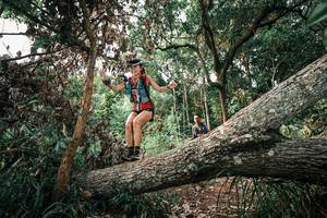 BIB: 
                            <button type="button" onclick="openModal(25533176)" class="btn btn-primary btn-sm float-right btn-popup" data-toggle="modal" data-target=".modal-high-quality">
                        <i class="fas fa-shopping-cart"></i> Add to Cart
                    </button>
                                            <button type="button" onclick="isThisMe(25533176, true)" class="btn btn-success btn-sm float-right btn-popup btn-isme hidden" data-toggle="tooltip" data-placement="bottom" title="นี่คือรูปของคุณใช่ไหม คลิกที่นี่เพื่อเอาเข้าอัลบั้ม">
                        <i class="fas fa-plus"></i> Add to album
                    </button>
                    <button type="button" onclick="isThisMe(25533176, false)" class="btn btn-warning btn-sm float-right btn-popup btn-isnotme hidden">
                        <i class="fas fa-ban"></i> Remove from album
                    </button>