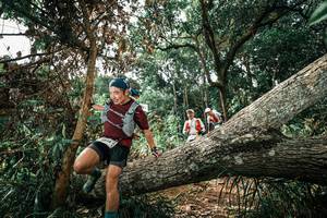 BIB: 
                            <button type="button" onclick="openModal(25549251)" class="btn btn-primary btn-sm float-right btn-popup" data-toggle="modal" data-target=".modal-high-quality">
                        <i class="fas fa-shopping-cart"></i> Add to Cart
                    </button>
                                            <button type="button" onclick="isThisMe(25549251, true)" class="btn btn-success btn-sm float-right btn-popup btn-isme hidden" data-toggle="tooltip" data-placement="bottom" title="นี่คือรูปของคุณใช่ไหม คลิกที่นี่เพื่อเอาเข้าอัลบั้ม">
                        <i class="fas fa-plus"></i> Add to album
                    </button>
                    <button type="button" onclick="isThisMe(25549251, false)" class="btn btn-warning btn-sm float-right btn-popup btn-isnotme hidden">
                        <i class="fas fa-ban"></i> Remove from album
                    </button>