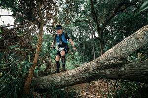 BIB: 
                            <button type="button" onclick="openModal(25551397)" class="btn btn-primary btn-sm float-right btn-popup" data-toggle="modal" data-target=".modal-high-quality">
                        <i class="fas fa-shopping-cart"></i> Add to Cart
                    </button>
                                            <button type="button" onclick="isThisMe(25551397, true)" class="btn btn-success btn-sm float-right btn-popup btn-isme hidden" data-toggle="tooltip" data-placement="bottom" title="นี่คือรูปของคุณใช่ไหม คลิกที่นี่เพื่อเอาเข้าอัลบั้ม">
                        <i class="fas fa-plus"></i> Add to album
                    </button>
                    <button type="button" onclick="isThisMe(25551397, false)" class="btn btn-warning btn-sm float-right btn-popup btn-isnotme hidden">
                        <i class="fas fa-ban"></i> Remove from album
                    </button>