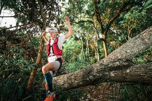 BIB: 
                            <button type="button" onclick="openModal(25525995)" class="btn btn-primary btn-sm float-right btn-popup" data-toggle="modal" data-target=".modal-high-quality">
                        <i class="fas fa-shopping-cart"></i> Add to Cart
                    </button>
                                            <button type="button" onclick="isThisMe(25525995, true)" class="btn btn-success btn-sm float-right btn-popup btn-isme hidden" data-toggle="tooltip" data-placement="bottom" title="นี่คือรูปของคุณใช่ไหม คลิกที่นี่เพื่อเอาเข้าอัลบั้ม">
                        <i class="fas fa-plus"></i> Add to album
                    </button>
                    <button type="button" onclick="isThisMe(25525995, false)" class="btn btn-warning btn-sm float-right btn-popup btn-isnotme hidden">
                        <i class="fas fa-ban"></i> Remove from album
                    </button>