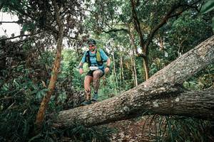 BIB: 
                            <button type="button" onclick="openModal(25526514)" class="btn btn-primary btn-sm float-right btn-popup" data-toggle="modal" data-target=".modal-high-quality">
                        <i class="fas fa-shopping-cart"></i> Add to Cart
                    </button>
                                            <button type="button" onclick="isThisMe(25526514, true)" class="btn btn-success btn-sm float-right btn-popup btn-isme hidden" data-toggle="tooltip" data-placement="bottom" title="นี่คือรูปของคุณใช่ไหม คลิกที่นี่เพื่อเอาเข้าอัลบั้ม">
                        <i class="fas fa-plus"></i> Add to album
                    </button>
                    <button type="button" onclick="isThisMe(25526514, false)" class="btn btn-warning btn-sm float-right btn-popup btn-isnotme hidden">
                        <i class="fas fa-ban"></i> Remove from album
                    </button>