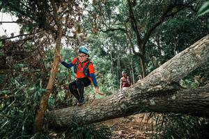 BIB: 
                            <button type="button" onclick="openModal(25549256)" class="btn btn-primary btn-sm float-right btn-popup" data-toggle="modal" data-target=".modal-high-quality">
                        <i class="fas fa-shopping-cart"></i> Add to Cart
                    </button>
                                            <button type="button" onclick="isThisMe(25549256, true)" class="btn btn-success btn-sm float-right btn-popup btn-isme hidden" data-toggle="tooltip" data-placement="bottom" title="นี่คือรูปของคุณใช่ไหม คลิกที่นี่เพื่อเอาเข้าอัลบั้ม">
                        <i class="fas fa-plus"></i> Add to album
                    </button>
                    <button type="button" onclick="isThisMe(25549256, false)" class="btn btn-warning btn-sm float-right btn-popup btn-isnotme hidden">
                        <i class="fas fa-ban"></i> Remove from album
                    </button>