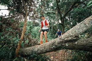 BIB: 
                            <button type="button" onclick="openModal(25541987)" class="btn btn-primary btn-sm float-right btn-popup" data-toggle="modal" data-target=".modal-high-quality">
                        <i class="fas fa-shopping-cart"></i> Add to Cart
                    </button>
                                            <button type="button" onclick="isThisMe(25541987, true)" class="btn btn-success btn-sm float-right btn-popup btn-isme hidden" data-toggle="tooltip" data-placement="bottom" title="นี่คือรูปของคุณใช่ไหม คลิกที่นี่เพื่อเอาเข้าอัลบั้ม">
                        <i class="fas fa-plus"></i> Add to album
                    </button>
                    <button type="button" onclick="isThisMe(25541987, false)" class="btn btn-warning btn-sm float-right btn-popup btn-isnotme hidden">
                        <i class="fas fa-ban"></i> Remove from album
                    </button>