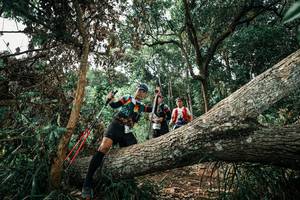 BIB: 
                            <button type="button" onclick="openModal(25548987)" class="btn btn-primary btn-sm float-right btn-popup" data-toggle="modal" data-target=".modal-high-quality">
                        <i class="fas fa-shopping-cart"></i> Add to Cart
                    </button>
                                            <button type="button" onclick="isThisMe(25548987, true)" class="btn btn-success btn-sm float-right btn-popup btn-isme hidden" data-toggle="tooltip" data-placement="bottom" title="นี่คือรูปของคุณใช่ไหม คลิกที่นี่เพื่อเอาเข้าอัลบั้ม">
                        <i class="fas fa-plus"></i> Add to album
                    </button>
                    <button type="button" onclick="isThisMe(25548987, false)" class="btn btn-warning btn-sm float-right btn-popup btn-isnotme hidden">
                        <i class="fas fa-ban"></i> Remove from album
                    </button>