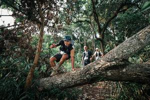 BIB: 
                            <button type="button" onclick="openModal(25534702)" class="btn btn-primary btn-sm float-right btn-popup" data-toggle="modal" data-target=".modal-high-quality">
                        <i class="fas fa-shopping-cart"></i> Add to Cart
                    </button>
                                            <button type="button" onclick="isThisMe(25534702, true)" class="btn btn-success btn-sm float-right btn-popup btn-isme hidden" data-toggle="tooltip" data-placement="bottom" title="นี่คือรูปของคุณใช่ไหม คลิกที่นี่เพื่อเอาเข้าอัลบั้ม">
                        <i class="fas fa-plus"></i> Add to album
                    </button>
                    <button type="button" onclick="isThisMe(25534702, false)" class="btn btn-warning btn-sm float-right btn-popup btn-isnotme hidden">
                        <i class="fas fa-ban"></i> Remove from album
                    </button>