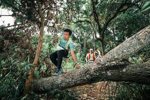 BIB: 
                            <button type="button" onclick="openModal(25543416)" class="btn btn-primary btn-sm float-right btn-popup" data-toggle="modal" data-target=".modal-high-quality">
                        <i class="fas fa-shopping-cart"></i> Add to Cart
                    </button>
                                            <button type="button" onclick="isThisMe(25543416, true)" class="btn btn-success btn-sm float-right btn-popup btn-isme hidden" data-toggle="tooltip" data-placement="bottom" title="นี่คือรูปของคุณใช่ไหม คลิกที่นี่เพื่อเอาเข้าอัลบั้ม">
                        <i class="fas fa-plus"></i> Add to album
                    </button>
                    <button type="button" onclick="isThisMe(25543416, false)" class="btn btn-warning btn-sm float-right btn-popup btn-isnotme hidden">
                        <i class="fas fa-ban"></i> Remove from album
                    </button>