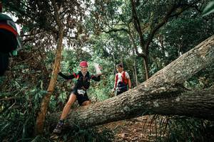 BIB: 
                            <button type="button" onclick="openModal(25549029)" class="btn btn-primary btn-sm float-right btn-popup" data-toggle="modal" data-target=".modal-high-quality">
                        <i class="fas fa-shopping-cart"></i> Add to Cart
                    </button>
                                            <button type="button" onclick="isThisMe(25549029, true)" class="btn btn-success btn-sm float-right btn-popup btn-isme hidden" data-toggle="tooltip" data-placement="bottom" title="นี่คือรูปของคุณใช่ไหม คลิกที่นี่เพื่อเอาเข้าอัลบั้ม">
                        <i class="fas fa-plus"></i> Add to album
                    </button>
                    <button type="button" onclick="isThisMe(25549029, false)" class="btn btn-warning btn-sm float-right btn-popup btn-isnotme hidden">
                        <i class="fas fa-ban"></i> Remove from album
                    </button>