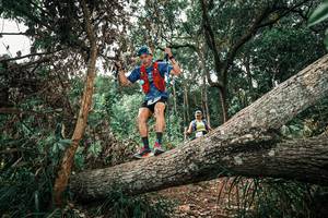 BIB: 
                            <button type="button" onclick="openModal(25547588)" class="btn btn-primary btn-sm float-right btn-popup" data-toggle="modal" data-target=".modal-high-quality">
                        <i class="fas fa-shopping-cart"></i> Add to Cart
                    </button>
                                            <button type="button" onclick="isThisMe(25547588, true)" class="btn btn-success btn-sm float-right btn-popup btn-isme hidden" data-toggle="tooltip" data-placement="bottom" title="นี่คือรูปของคุณใช่ไหม คลิกที่นี่เพื่อเอาเข้าอัลบั้ม">
                        <i class="fas fa-plus"></i> Add to album
                    </button>
                    <button type="button" onclick="isThisMe(25547588, false)" class="btn btn-warning btn-sm float-right btn-popup btn-isnotme hidden">
                        <i class="fas fa-ban"></i> Remove from album
                    </button>