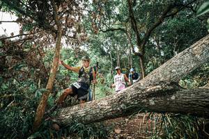 BIB: 
                            <button type="button" onclick="openModal(25537785)" class="btn btn-primary btn-sm float-right btn-popup" data-toggle="modal" data-target=".modal-high-quality">
                        <i class="fas fa-shopping-cart"></i> Add to Cart
                    </button>
                                            <button type="button" onclick="isThisMe(25537785, true)" class="btn btn-success btn-sm float-right btn-popup btn-isme hidden" data-toggle="tooltip" data-placement="bottom" title="นี่คือรูปของคุณใช่ไหม คลิกที่นี่เพื่อเอาเข้าอัลบั้ม">
                        <i class="fas fa-plus"></i> Add to album
                    </button>
                    <button type="button" onclick="isThisMe(25537785, false)" class="btn btn-warning btn-sm float-right btn-popup btn-isnotme hidden">
                        <i class="fas fa-ban"></i> Remove from album
                    </button>