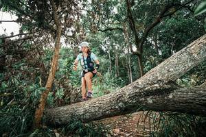 BIB: 
                            <button type="button" onclick="openModal(25543228)" class="btn btn-primary btn-sm float-right btn-popup" data-toggle="modal" data-target=".modal-high-quality">
                        <i class="fas fa-shopping-cart"></i> Add to Cart
                    </button>
                                            <button type="button" onclick="isThisMe(25543228, true)" class="btn btn-success btn-sm float-right btn-popup btn-isme hidden" data-toggle="tooltip" data-placement="bottom" title="นี่คือรูปของคุณใช่ไหม คลิกที่นี่เพื่อเอาเข้าอัลบั้ม">
                        <i class="fas fa-plus"></i> Add to album
                    </button>
                    <button type="button" onclick="isThisMe(25543228, false)" class="btn btn-warning btn-sm float-right btn-popup btn-isnotme hidden">
                        <i class="fas fa-ban"></i> Remove from album
                    </button>