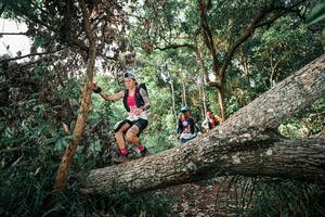 BIB: 
                            <button type="button" onclick="openModal(25527755)" class="btn btn-primary btn-sm float-right btn-popup" data-toggle="modal" data-target=".modal-high-quality">
                        <i class="fas fa-shopping-cart"></i> Add to Cart
                    </button>
                                            <button type="button" onclick="isThisMe(25527755, true)" class="btn btn-success btn-sm float-right btn-popup btn-isme hidden" data-toggle="tooltip" data-placement="bottom" title="นี่คือรูปของคุณใช่ไหม คลิกที่นี่เพื่อเอาเข้าอัลบั้ม">
                        <i class="fas fa-plus"></i> Add to album
                    </button>
                    <button type="button" onclick="isThisMe(25527755, false)" class="btn btn-warning btn-sm float-right btn-popup btn-isnotme hidden">
                        <i class="fas fa-ban"></i> Remove from album
                    </button>