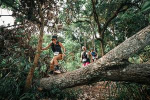 BIB: 
                            <button type="button" onclick="openModal(25533377)" class="btn btn-primary btn-sm float-right btn-popup" data-toggle="modal" data-target=".modal-high-quality">
                        <i class="fas fa-shopping-cart"></i> Add to Cart
                    </button>
                                            <button type="button" onclick="isThisMe(25533377, true)" class="btn btn-success btn-sm float-right btn-popup btn-isme hidden" data-toggle="tooltip" data-placement="bottom" title="นี่คือรูปของคุณใช่ไหม คลิกที่นี่เพื่อเอาเข้าอัลบั้ม">
                        <i class="fas fa-plus"></i> Add to album
                    </button>
                    <button type="button" onclick="isThisMe(25533377, false)" class="btn btn-warning btn-sm float-right btn-popup btn-isnotme hidden">
                        <i class="fas fa-ban"></i> Remove from album
                    </button>