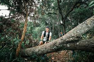 BIB: 
                            <button type="button" onclick="openModal(25538264)" class="btn btn-primary btn-sm float-right btn-popup" data-toggle="modal" data-target=".modal-high-quality">
                        <i class="fas fa-shopping-cart"></i> Add to Cart
                    </button>
                                            <button type="button" onclick="isThisMe(25538264, true)" class="btn btn-success btn-sm float-right btn-popup btn-isme hidden" data-toggle="tooltip" data-placement="bottom" title="นี่คือรูปของคุณใช่ไหม คลิกที่นี่เพื่อเอาเข้าอัลบั้ม">
                        <i class="fas fa-plus"></i> Add to album
                    </button>
                    <button type="button" onclick="isThisMe(25538264, false)" class="btn btn-warning btn-sm float-right btn-popup btn-isnotme hidden">
                        <i class="fas fa-ban"></i> Remove from album
                    </button>