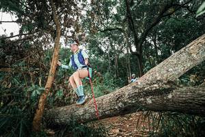 BIB: 
                            <button type="button" onclick="openModal(25552719)" class="btn btn-primary btn-sm float-right btn-popup" data-toggle="modal" data-target=".modal-high-quality">
                        <i class="fas fa-shopping-cart"></i> Add to Cart
                    </button>
                                            <button type="button" onclick="isThisMe(25552719, true)" class="btn btn-success btn-sm float-right btn-popup btn-isme hidden" data-toggle="tooltip" data-placement="bottom" title="นี่คือรูปของคุณใช่ไหม คลิกที่นี่เพื่อเอาเข้าอัลบั้ม">
                        <i class="fas fa-plus"></i> Add to album
                    </button>
                    <button type="button" onclick="isThisMe(25552719, false)" class="btn btn-warning btn-sm float-right btn-popup btn-isnotme hidden">
                        <i class="fas fa-ban"></i> Remove from album
                    </button>