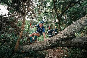 BIB: 
                            <button type="button" onclick="openModal(25532978)" class="btn btn-primary btn-sm float-right btn-popup" data-toggle="modal" data-target=".modal-high-quality">
                        <i class="fas fa-shopping-cart"></i> Add to Cart
                    </button>
                                            <button type="button" onclick="isThisMe(25532978, true)" class="btn btn-success btn-sm float-right btn-popup btn-isme hidden" data-toggle="tooltip" data-placement="bottom" title="นี่คือรูปของคุณใช่ไหม คลิกที่นี่เพื่อเอาเข้าอัลบั้ม">
                        <i class="fas fa-plus"></i> Add to album
                    </button>
                    <button type="button" onclick="isThisMe(25532978, false)" class="btn btn-warning btn-sm float-right btn-popup btn-isnotme hidden">
                        <i class="fas fa-ban"></i> Remove from album
                    </button>