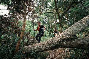 BIB: 
                            <button type="button" onclick="openModal(25533368)" class="btn btn-primary btn-sm float-right btn-popup" data-toggle="modal" data-target=".modal-high-quality">
                        <i class="fas fa-shopping-cart"></i> Add to Cart
                    </button>
                                            <button type="button" onclick="isThisMe(25533368, true)" class="btn btn-success btn-sm float-right btn-popup btn-isme hidden" data-toggle="tooltip" data-placement="bottom" title="นี่คือรูปของคุณใช่ไหม คลิกที่นี่เพื่อเอาเข้าอัลบั้ม">
                        <i class="fas fa-plus"></i> Add to album
                    </button>
                    <button type="button" onclick="isThisMe(25533368, false)" class="btn btn-warning btn-sm float-right btn-popup btn-isnotme hidden">
                        <i class="fas fa-ban"></i> Remove from album
                    </button>