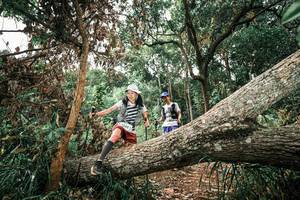 BIB: 
                            <button type="button" onclick="openModal(25545361)" class="btn btn-primary btn-sm float-right btn-popup" data-toggle="modal" data-target=".modal-high-quality">
                        <i class="fas fa-shopping-cart"></i> Add to Cart
                    </button>
                                            <button type="button" onclick="isThisMe(25545361, true)" class="btn btn-success btn-sm float-right btn-popup btn-isme hidden" data-toggle="tooltip" data-placement="bottom" title="นี่คือรูปของคุณใช่ไหม คลิกที่นี่เพื่อเอาเข้าอัลบั้ม">
                        <i class="fas fa-plus"></i> Add to album
                    </button>
                    <button type="button" onclick="isThisMe(25545361, false)" class="btn btn-warning btn-sm float-right btn-popup btn-isnotme hidden">
                        <i class="fas fa-ban"></i> Remove from album
                    </button>