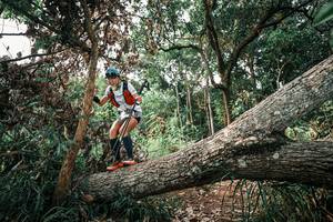 BIB: 
                            <button type="button" onclick="openModal(25533647)" class="btn btn-primary btn-sm float-right btn-popup" data-toggle="modal" data-target=".modal-high-quality">
                        <i class="fas fa-shopping-cart"></i> Add to Cart
                    </button>
                                            <button type="button" onclick="isThisMe(25533647, true)" class="btn btn-success btn-sm float-right btn-popup btn-isme hidden" data-toggle="tooltip" data-placement="bottom" title="นี่คือรูปของคุณใช่ไหม คลิกที่นี่เพื่อเอาเข้าอัลบั้ม">
                        <i class="fas fa-plus"></i> Add to album
                    </button>
                    <button type="button" onclick="isThisMe(25533647, false)" class="btn btn-warning btn-sm float-right btn-popup btn-isnotme hidden">
                        <i class="fas fa-ban"></i> Remove from album
                    </button>