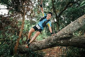 BIB: 
                            <button type="button" onclick="openModal(25545923)" class="btn btn-primary btn-sm float-right btn-popup" data-toggle="modal" data-target=".modal-high-quality">
                        <i class="fas fa-shopping-cart"></i> Add to Cart
                    </button>
                                            <button type="button" onclick="isThisMe(25545923, true)" class="btn btn-success btn-sm float-right btn-popup btn-isme hidden" data-toggle="tooltip" data-placement="bottom" title="นี่คือรูปของคุณใช่ไหม คลิกที่นี่เพื่อเอาเข้าอัลบั้ม">
                        <i class="fas fa-plus"></i> Add to album
                    </button>
                    <button type="button" onclick="isThisMe(25545923, false)" class="btn btn-warning btn-sm float-right btn-popup btn-isnotme hidden">
                        <i class="fas fa-ban"></i> Remove from album
                    </button>