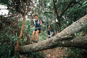 BIB: 
                            <button type="button" onclick="openModal(25544831)" class="btn btn-primary btn-sm float-right btn-popup" data-toggle="modal" data-target=".modal-high-quality">
                        <i class="fas fa-shopping-cart"></i> Add to Cart
                    </button>
                                            <button type="button" onclick="isThisMe(25544831, true)" class="btn btn-success btn-sm float-right btn-popup btn-isme hidden" data-toggle="tooltip" data-placement="bottom" title="นี่คือรูปของคุณใช่ไหม คลิกที่นี่เพื่อเอาเข้าอัลบั้ม">
                        <i class="fas fa-plus"></i> Add to album
                    </button>
                    <button type="button" onclick="isThisMe(25544831, false)" class="btn btn-warning btn-sm float-right btn-popup btn-isnotme hidden">
                        <i class="fas fa-ban"></i> Remove from album
                    </button>