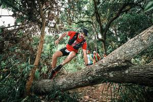 BIB: 
                            <button type="button" onclick="openModal(25543409)" class="btn btn-primary btn-sm float-right btn-popup" data-toggle="modal" data-target=".modal-high-quality">
                        <i class="fas fa-shopping-cart"></i> Add to Cart
                    </button>
                                            <button type="button" onclick="isThisMe(25543409, true)" class="btn btn-success btn-sm float-right btn-popup btn-isme hidden" data-toggle="tooltip" data-placement="bottom" title="นี่คือรูปของคุณใช่ไหม คลิกที่นี่เพื่อเอาเข้าอัลบั้ม">
                        <i class="fas fa-plus"></i> Add to album
                    </button>
                    <button type="button" onclick="isThisMe(25543409, false)" class="btn btn-warning btn-sm float-right btn-popup btn-isnotme hidden">
                        <i class="fas fa-ban"></i> Remove from album
                    </button>