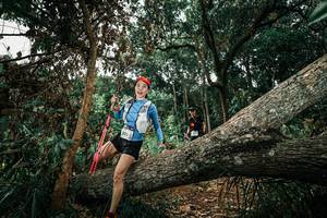 BIB: 
                            <button type="button" onclick="openModal(25551536)" class="btn btn-primary btn-sm float-right btn-popup" data-toggle="modal" data-target=".modal-high-quality">
                        <i class="fas fa-shopping-cart"></i> Add to Cart
                    </button>
                                            <button type="button" onclick="isThisMe(25551536, true)" class="btn btn-success btn-sm float-right btn-popup btn-isme hidden" data-toggle="tooltip" data-placement="bottom" title="นี่คือรูปของคุณใช่ไหม คลิกที่นี่เพื่อเอาเข้าอัลบั้ม">
                        <i class="fas fa-plus"></i> Add to album
                    </button>
                    <button type="button" onclick="isThisMe(25551536, false)" class="btn btn-warning btn-sm float-right btn-popup btn-isnotme hidden">
                        <i class="fas fa-ban"></i> Remove from album
                    </button>