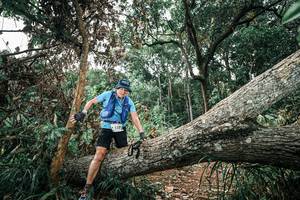 BIB: 
                            <button type="button" onclick="openModal(25541221)" class="btn btn-primary btn-sm float-right btn-popup" data-toggle="modal" data-target=".modal-high-quality">
                        <i class="fas fa-shopping-cart"></i> Add to Cart
                    </button>
                                            <button type="button" onclick="isThisMe(25541221, true)" class="btn btn-success btn-sm float-right btn-popup btn-isme hidden" data-toggle="tooltip" data-placement="bottom" title="นี่คือรูปของคุณใช่ไหม คลิกที่นี่เพื่อเอาเข้าอัลบั้ม">
                        <i class="fas fa-plus"></i> Add to album
                    </button>
                    <button type="button" onclick="isThisMe(25541221, false)" class="btn btn-warning btn-sm float-right btn-popup btn-isnotme hidden">
                        <i class="fas fa-ban"></i> Remove from album
                    </button>