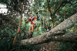 BIB: 
                            <button type="button" onclick="openModal(25526823)" class="btn btn-primary btn-sm float-right btn-popup" data-toggle="modal" data-target=".modal-high-quality">
                        <i class="fas fa-shopping-cart"></i> Add to Cart
                    </button>
                                            <button type="button" onclick="isThisMe(25526823, true)" class="btn btn-success btn-sm float-right btn-popup btn-isme hidden" data-toggle="tooltip" data-placement="bottom" title="นี่คือรูปของคุณใช่ไหม คลิกที่นี่เพื่อเอาเข้าอัลบั้ม">
                        <i class="fas fa-plus"></i> Add to album
                    </button>
                    <button type="button" onclick="isThisMe(25526823, false)" class="btn btn-warning btn-sm float-right btn-popup btn-isnotme hidden">
                        <i class="fas fa-ban"></i> Remove from album
                    </button>