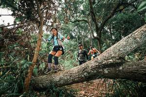 BIB: 
                            <button type="button" onclick="openModal(25546476)" class="btn btn-primary btn-sm float-right btn-popup" data-toggle="modal" data-target=".modal-high-quality">
                        <i class="fas fa-shopping-cart"></i> Add to Cart
                    </button>
                                            <button type="button" onclick="isThisMe(25546476, true)" class="btn btn-success btn-sm float-right btn-popup btn-isme hidden" data-toggle="tooltip" data-placement="bottom" title="นี่คือรูปของคุณใช่ไหม คลิกที่นี่เพื่อเอาเข้าอัลบั้ม">
                        <i class="fas fa-plus"></i> Add to album
                    </button>
                    <button type="button" onclick="isThisMe(25546476, false)" class="btn btn-warning btn-sm float-right btn-popup btn-isnotme hidden">
                        <i class="fas fa-ban"></i> Remove from album
                    </button>