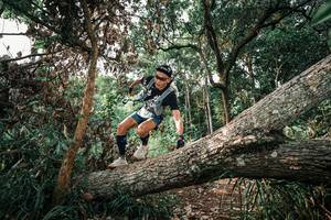 BIB: 
                            <button type="button" onclick="openModal(25534023)" class="btn btn-primary btn-sm float-right btn-popup" data-toggle="modal" data-target=".modal-high-quality">
                        <i class="fas fa-shopping-cart"></i> Add to Cart
                    </button>
                                            <button type="button" onclick="isThisMe(25534023, true)" class="btn btn-success btn-sm float-right btn-popup btn-isme hidden" data-toggle="tooltip" data-placement="bottom" title="นี่คือรูปของคุณใช่ไหม คลิกที่นี่เพื่อเอาเข้าอัลบั้ม">
                        <i class="fas fa-plus"></i> Add to album
                    </button>
                    <button type="button" onclick="isThisMe(25534023, false)" class="btn btn-warning btn-sm float-right btn-popup btn-isnotme hidden">
                        <i class="fas fa-ban"></i> Remove from album
                    </button>