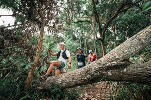 BIB: 
                            <button type="button" onclick="openModal(25529334)" class="btn btn-primary btn-sm float-right btn-popup" data-toggle="modal" data-target=".modal-high-quality">
                        <i class="fas fa-shopping-cart"></i> Add to Cart
                    </button>
                                            <button type="button" onclick="isThisMe(25529334, true)" class="btn btn-success btn-sm float-right btn-popup btn-isme hidden" data-toggle="tooltip" data-placement="bottom" title="นี่คือรูปของคุณใช่ไหม คลิกที่นี่เพื่อเอาเข้าอัลบั้ม">
                        <i class="fas fa-plus"></i> Add to album
                    </button>
                    <button type="button" onclick="isThisMe(25529334, false)" class="btn btn-warning btn-sm float-right btn-popup btn-isnotme hidden">
                        <i class="fas fa-ban"></i> Remove from album
                    </button>