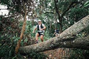 BIB: 
                            <button type="button" onclick="openModal(25541257)" class="btn btn-primary btn-sm float-right btn-popup" data-toggle="modal" data-target=".modal-high-quality">
                        <i class="fas fa-shopping-cart"></i> Add to Cart
                    </button>
                                            <button type="button" onclick="isThisMe(25541257, true)" class="btn btn-success btn-sm float-right btn-popup btn-isme hidden" data-toggle="tooltip" data-placement="bottom" title="นี่คือรูปของคุณใช่ไหม คลิกที่นี่เพื่อเอาเข้าอัลบั้ม">
                        <i class="fas fa-plus"></i> Add to album
                    </button>
                    <button type="button" onclick="isThisMe(25541257, false)" class="btn btn-warning btn-sm float-right btn-popup btn-isnotme hidden">
                        <i class="fas fa-ban"></i> Remove from album
                    </button>