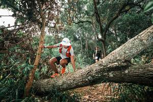 BIB: 
                            <button type="button" onclick="openModal(25547934)" class="btn btn-primary btn-sm float-right btn-popup" data-toggle="modal" data-target=".modal-high-quality">
                        <i class="fas fa-shopping-cart"></i> Add to Cart
                    </button>
                                            <button type="button" onclick="isThisMe(25547934, true)" class="btn btn-success btn-sm float-right btn-popup btn-isme hidden" data-toggle="tooltip" data-placement="bottom" title="นี่คือรูปของคุณใช่ไหม คลิกที่นี่เพื่อเอาเข้าอัลบั้ม">
                        <i class="fas fa-plus"></i> Add to album
                    </button>
                    <button type="button" onclick="isThisMe(25547934, false)" class="btn btn-warning btn-sm float-right btn-popup btn-isnotme hidden">
                        <i class="fas fa-ban"></i> Remove from album
                    </button>