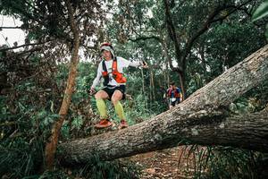 BIB: 
                            <button type="button" onclick="openModal(25546193)" class="btn btn-primary btn-sm float-right btn-popup" data-toggle="modal" data-target=".modal-high-quality">
                        <i class="fas fa-shopping-cart"></i> Add to Cart
                    </button>
                                            <button type="button" onclick="isThisMe(25546193, true)" class="btn btn-success btn-sm float-right btn-popup btn-isme hidden" data-toggle="tooltip" data-placement="bottom" title="นี่คือรูปของคุณใช่ไหม คลิกที่นี่เพื่อเอาเข้าอัลบั้ม">
                        <i class="fas fa-plus"></i> Add to album
                    </button>
                    <button type="button" onclick="isThisMe(25546193, false)" class="btn btn-warning btn-sm float-right btn-popup btn-isnotme hidden">
                        <i class="fas fa-ban"></i> Remove from album
                    </button>