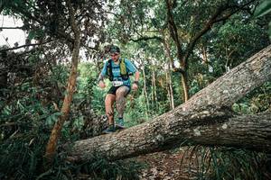 BIB: 
                            <button type="button" onclick="openModal(25526517)" class="btn btn-primary btn-sm float-right btn-popup" data-toggle="modal" data-target=".modal-high-quality">
                        <i class="fas fa-shopping-cart"></i> Add to Cart
                    </button>
                                            <button type="button" onclick="isThisMe(25526517, true)" class="btn btn-success btn-sm float-right btn-popup btn-isme hidden" data-toggle="tooltip" data-placement="bottom" title="นี่คือรูปของคุณใช่ไหม คลิกที่นี่เพื่อเอาเข้าอัลบั้ม">
                        <i class="fas fa-plus"></i> Add to album
                    </button>
                    <button type="button" onclick="isThisMe(25526517, false)" class="btn btn-warning btn-sm float-right btn-popup btn-isnotme hidden">
                        <i class="fas fa-ban"></i> Remove from album
                    </button>