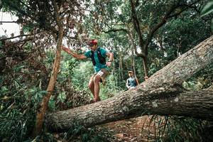 BIB: 
                            <button type="button" onclick="openModal(25544462)" class="btn btn-primary btn-sm float-right btn-popup" data-toggle="modal" data-target=".modal-high-quality">
                        <i class="fas fa-shopping-cart"></i> Add to Cart
                    </button>
                                            <button type="button" onclick="isThisMe(25544462, true)" class="btn btn-success btn-sm float-right btn-popup btn-isme hidden" data-toggle="tooltip" data-placement="bottom" title="นี่คือรูปของคุณใช่ไหม คลิกที่นี่เพื่อเอาเข้าอัลบั้ม">
                        <i class="fas fa-plus"></i> Add to album
                    </button>
                    <button type="button" onclick="isThisMe(25544462, false)" class="btn btn-warning btn-sm float-right btn-popup btn-isnotme hidden">
                        <i class="fas fa-ban"></i> Remove from album
                    </button>