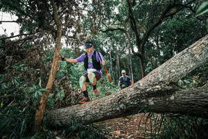 BIB: 
                            <button type="button" onclick="openModal(25543863)" class="btn btn-primary btn-sm float-right btn-popup" data-toggle="modal" data-target=".modal-high-quality">
                        <i class="fas fa-shopping-cart"></i> Add to Cart
                    </button>
                                            <button type="button" onclick="isThisMe(25543863, true)" class="btn btn-success btn-sm float-right btn-popup btn-isme hidden" data-toggle="tooltip" data-placement="bottom" title="นี่คือรูปของคุณใช่ไหม คลิกที่นี่เพื่อเอาเข้าอัลบั้ม">
                        <i class="fas fa-plus"></i> Add to album
                    </button>
                    <button type="button" onclick="isThisMe(25543863, false)" class="btn btn-warning btn-sm float-right btn-popup btn-isnotme hidden">
                        <i class="fas fa-ban"></i> Remove from album
                    </button>